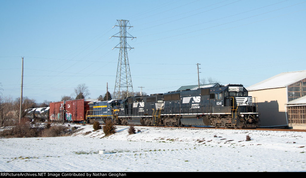 NS 6341 leads H23